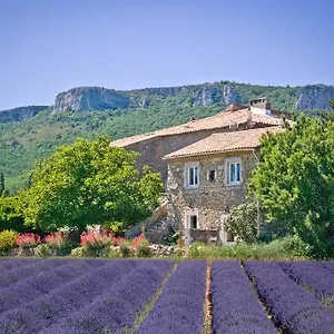 chez-bacchus.hotels-rhonealpes.com/